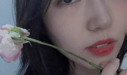 夜夜爱视频,揭秘现代都市情感生活的光影世界