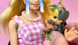 芭比视频,揭秘时尚界的梦幻王国